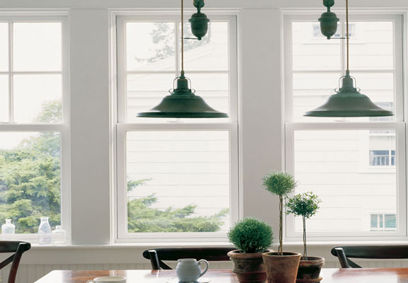 Windows & Doors